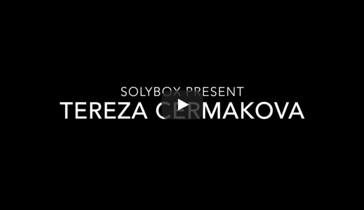 Screen Shot 2017-04-28 at 11.29.36