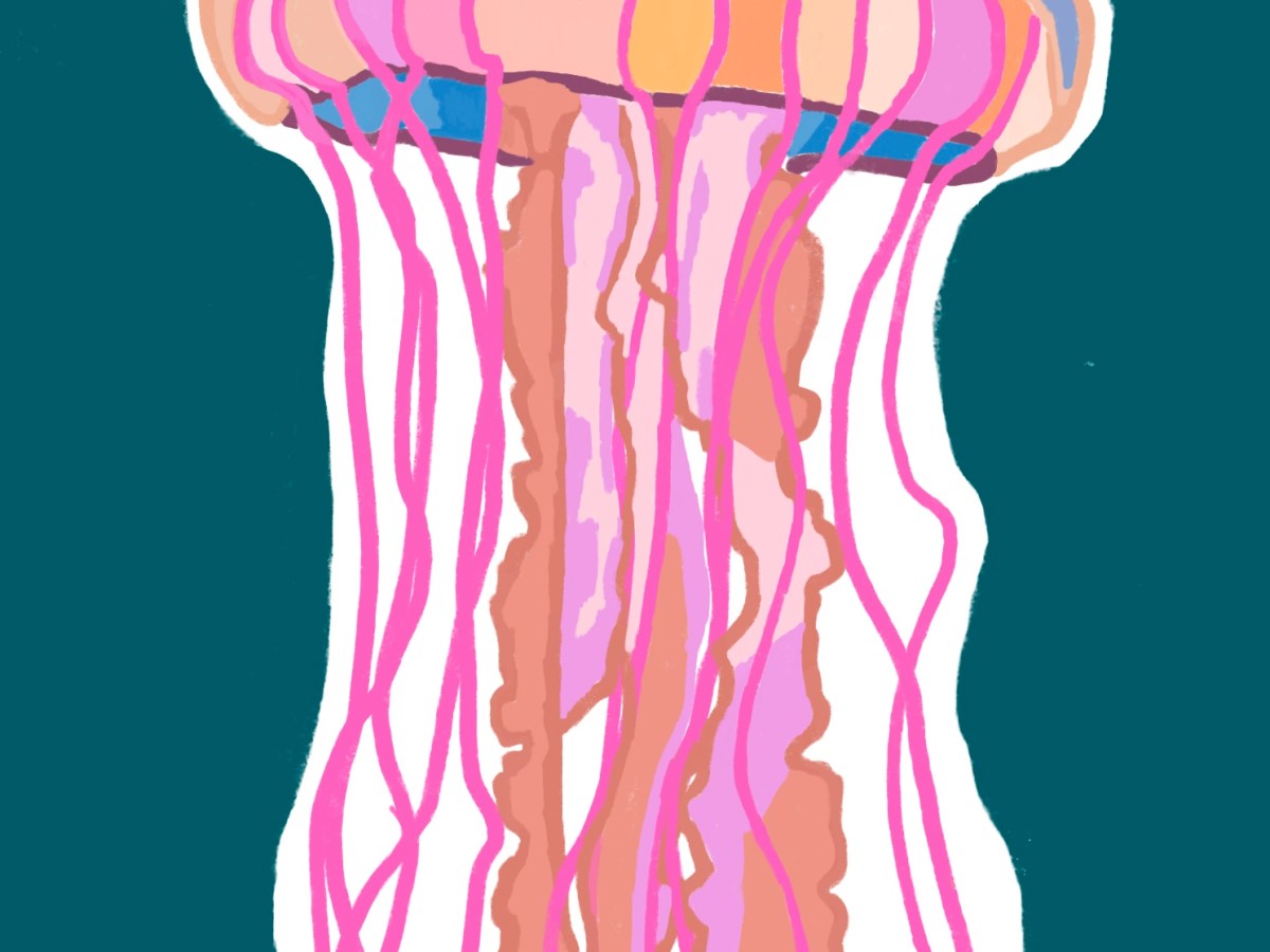 🎨 Le Flow Créatif : Quand la Création Devient une Danse (pas une&nbsp;Torture)