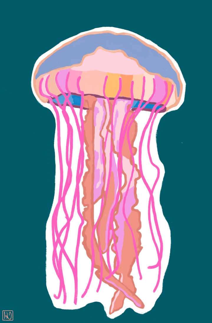 🎨 Le Flow Créatif : Quand la Création Devient une Danse (pas une&nbsp;Torture)