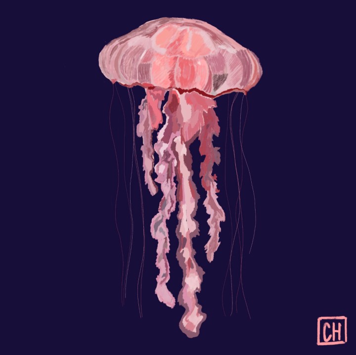 L&rsquo;IA ne remplacera jamais votre créativité (voici comment arrêter d&rsquo;avoir&nbsp;peur)