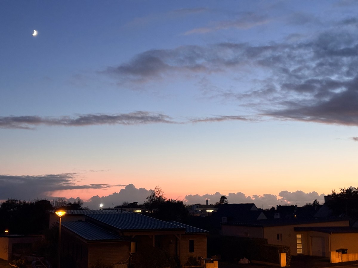 L&rsquo;Art de la Pause : Retrouver son Humanité à l&rsquo;Ère de&nbsp;l&rsquo;IA